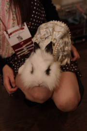 ¤¦¤µ¤®