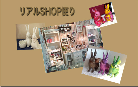 �ꥢ��SHOP����